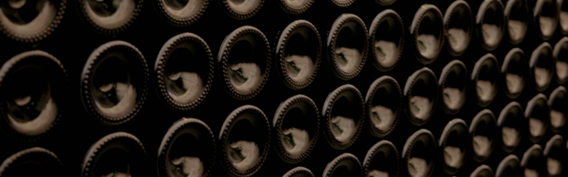 Filling the cellar with selected wine bottles.