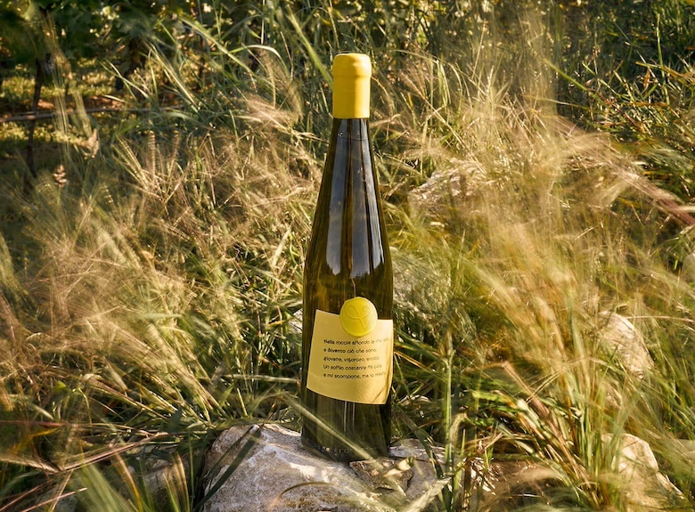 PIWI wine bottle, featuring sustainable winemaking from fungus-resistant grapes by Vigneti Vinessa.