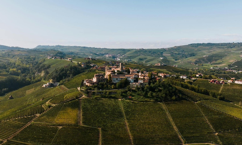 A breathtaking view of Monferrato’s rolling hills, covered in lush vineyards.