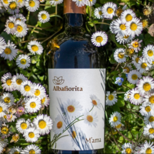 A close-up of the M'ama wine bottle from the PIWI Selection, surrounded by blooming daisies in a natural setting.