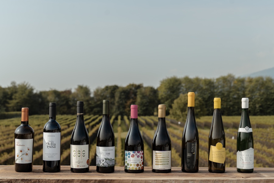 Selection of PIWI wines available on WinesnVines website.