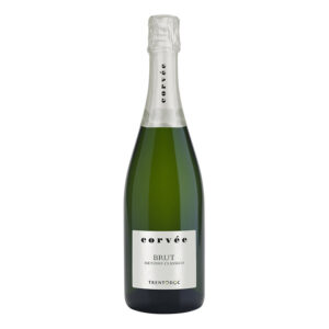 A bottle of Corvée Trento DOC Brut, an elegant traditional method sparkling wine made with Chardonnay.