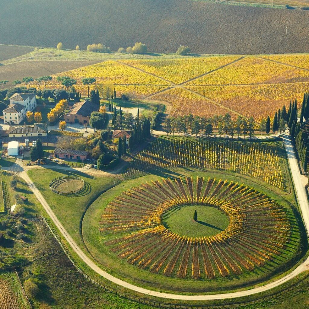 Aerial view of Avignonesi winery in Montepulciano, surrounded by vineyards and Tuscan countryside.