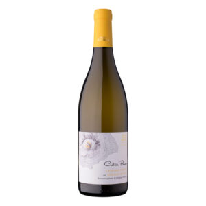 Lacryma Christi Cratere Bianco DOP 2023 by Cantine Astroni – A structured and mineral-rich white wine.