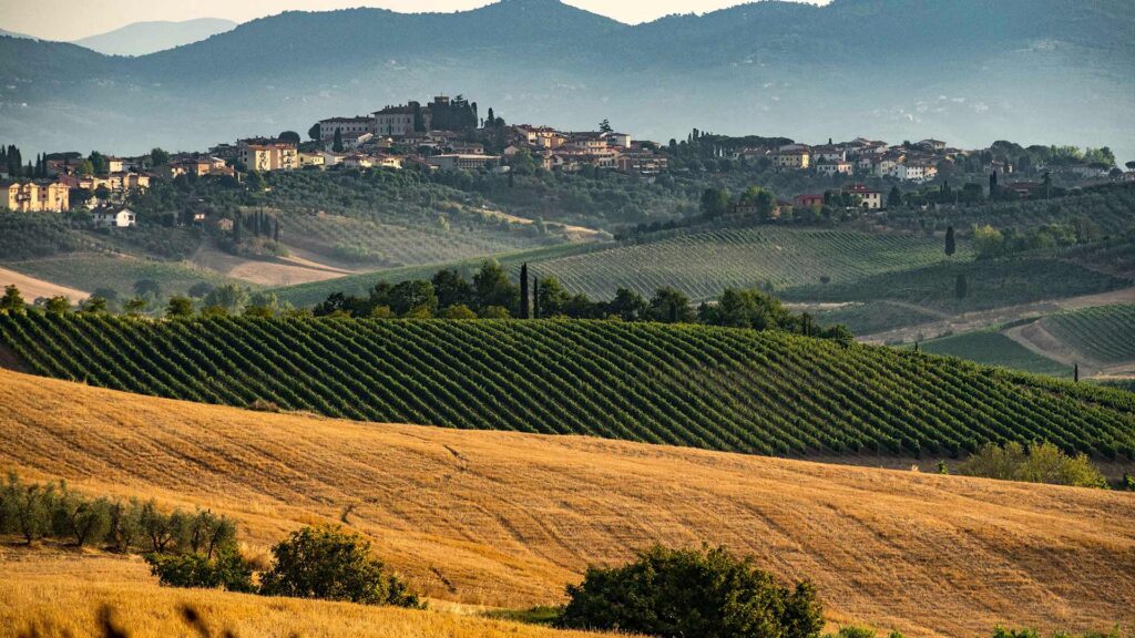 Tenute Rossetti vineyard in the heart of Chianti Classico, Tuscany.